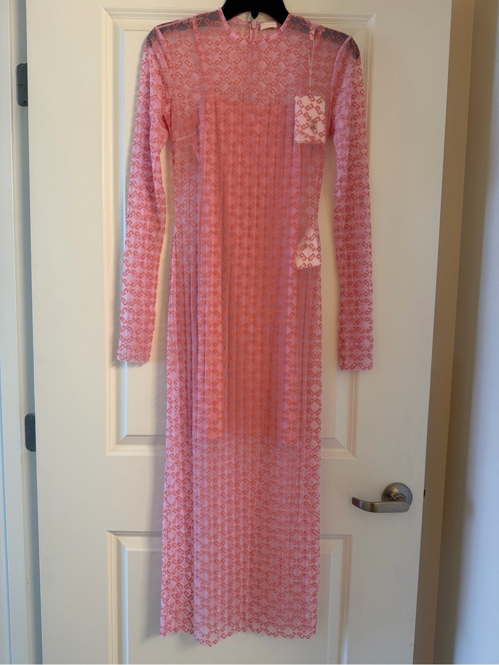 Givenchy Pink Sheer Lace Long-Sleeve Maxi Dress